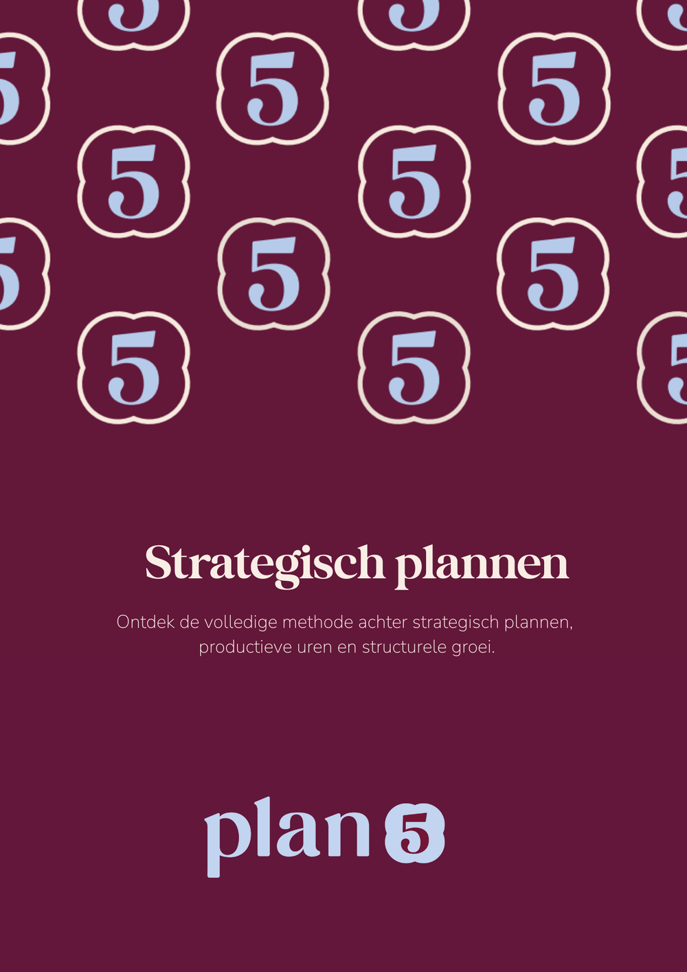 Plan5 Digitale Gids - Strategisch Plannen
